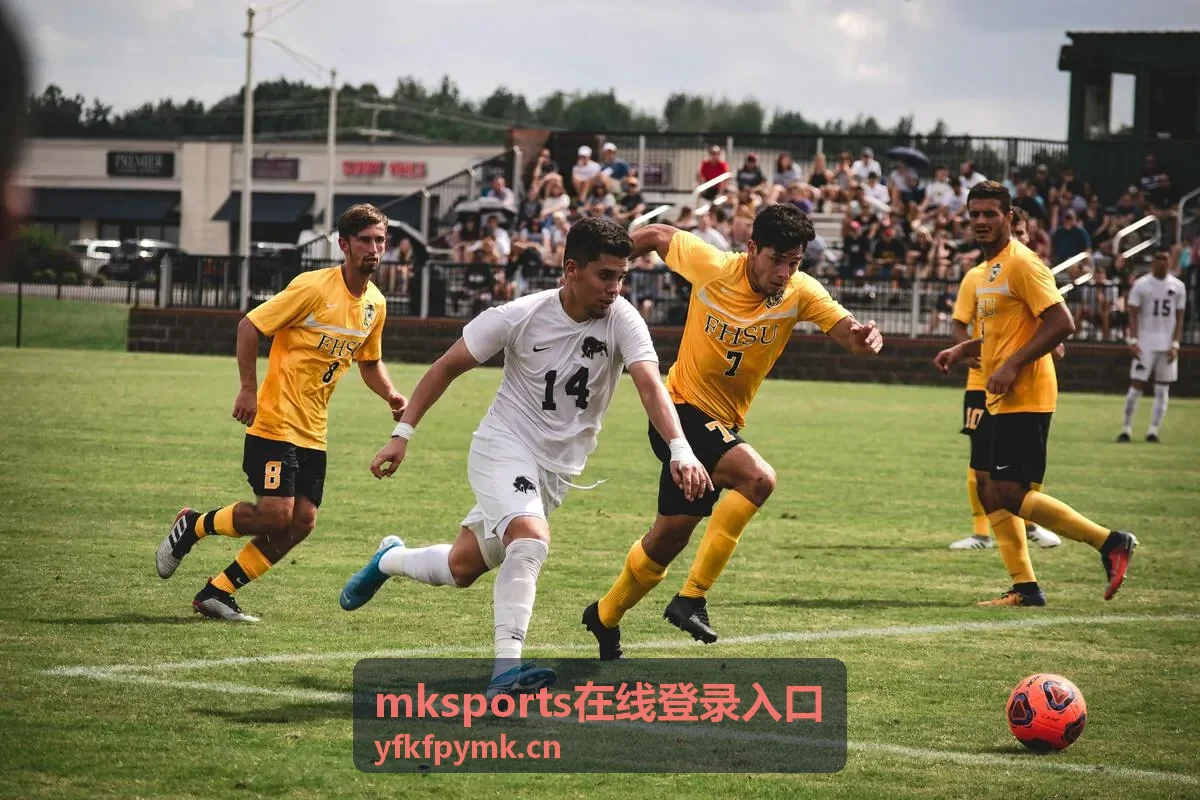 mksports在线登录入口网页端登录界面
