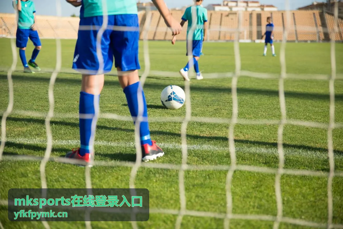 mksports在线登录入口手机端登录适配