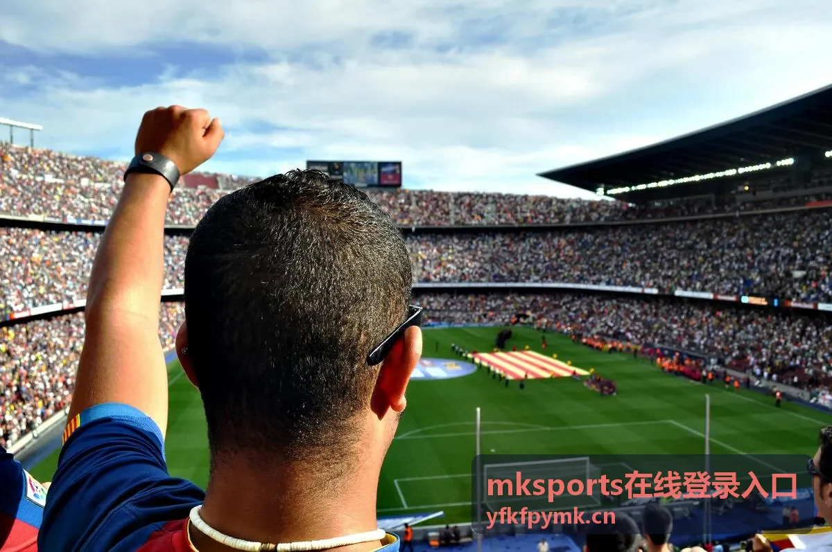 mksports在线登录入口账号密码填写要点