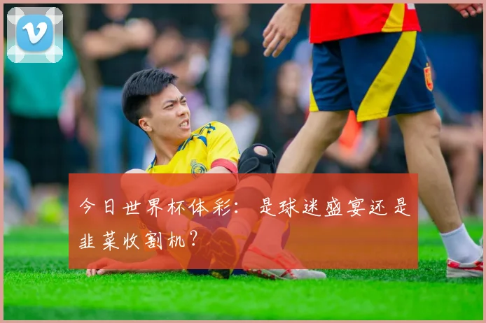今日世界杯体彩:是球迷盛宴还是韭菜收割机?