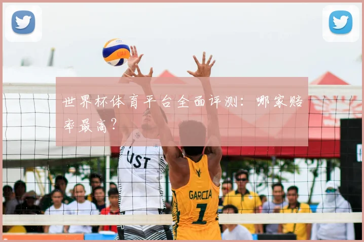 世界杯体育平台全面评测:哪家赔率最高?