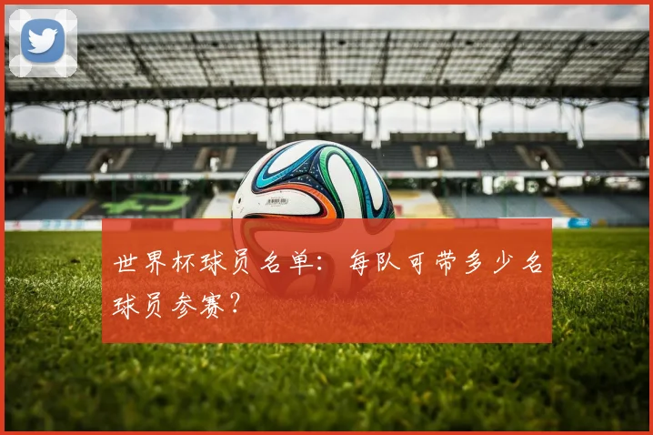 世界杯球员名单：每队可带多少名球员参赛？