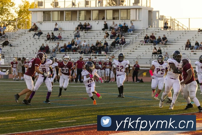 开云在线平台生态图