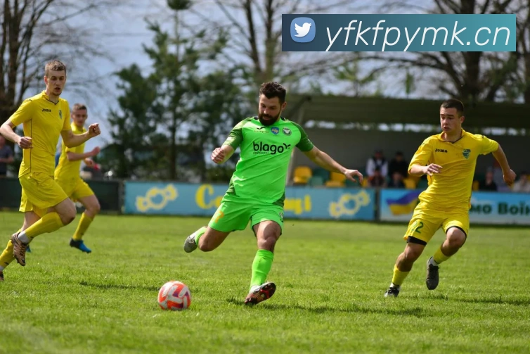 开云在线APP 封面图